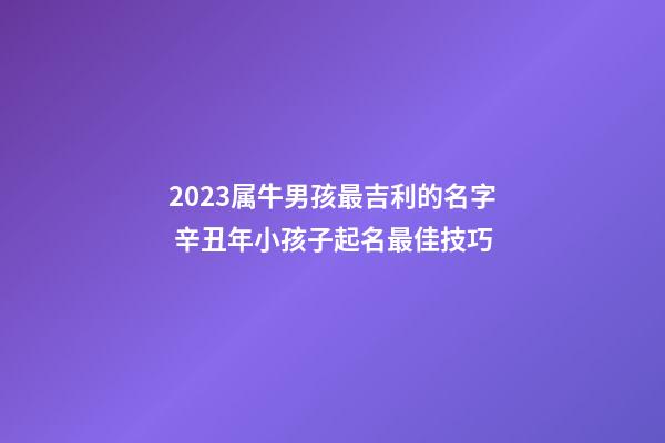 2023属牛男孩最吉利的名字 辛丑年小孩子起名最佳技巧